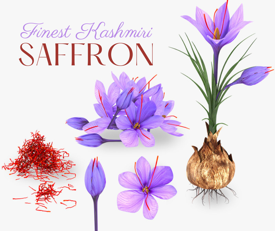 Finest Kashmiri Saffron